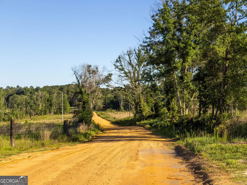 005 Beulah Road Tract 5 Sylvania, GA 30467