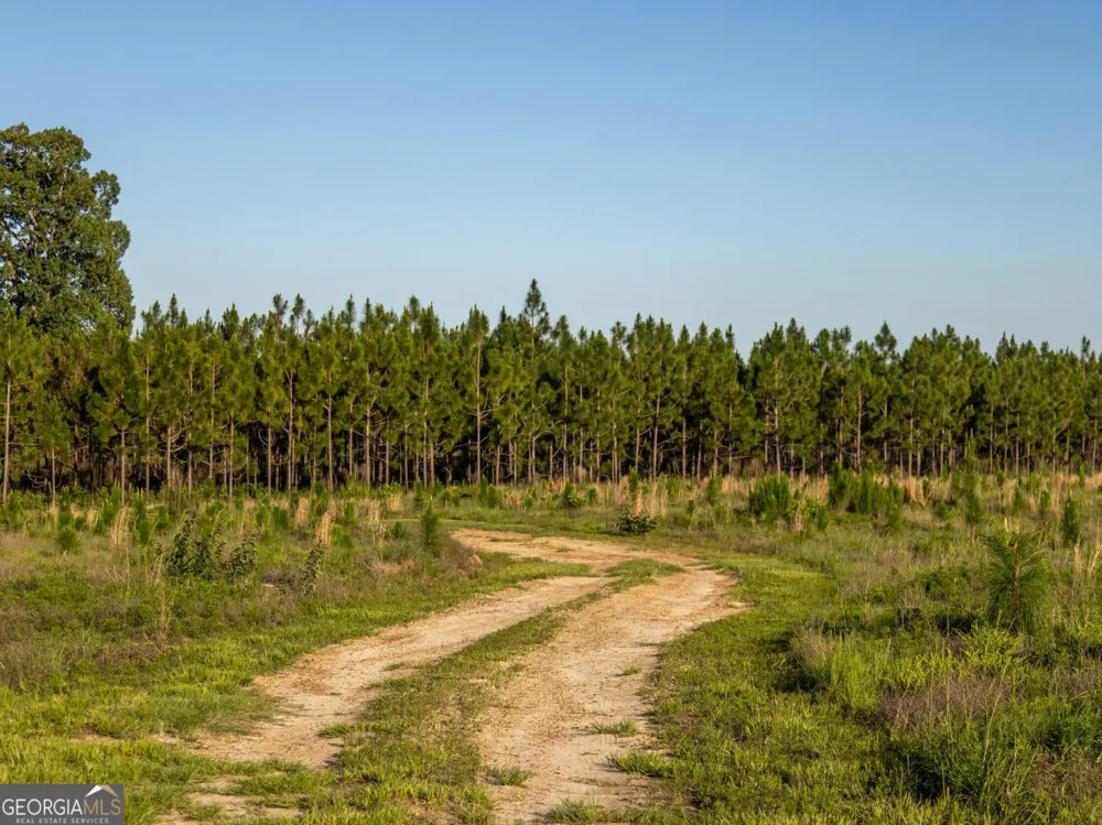 005 Beulah Road Tract 5 Sylvania, GA 30467