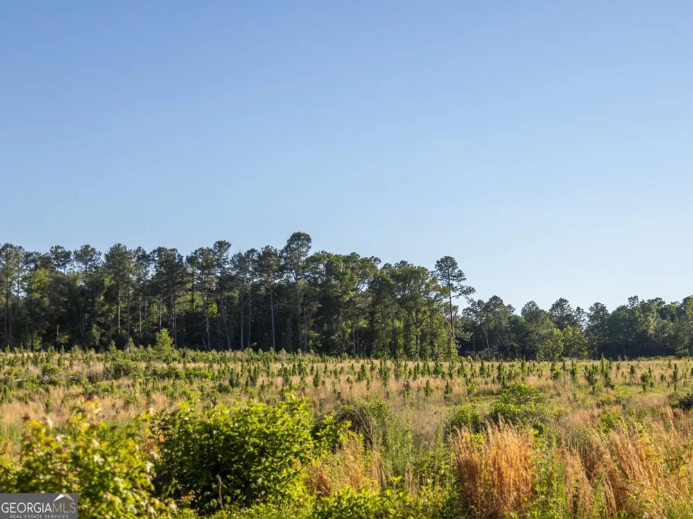 005 Beulah Road Tract 5 Sylvania, GA 30467
