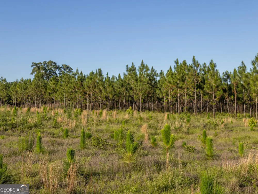 005 Beulah Road Tract 5 Sylvania, GA 30467