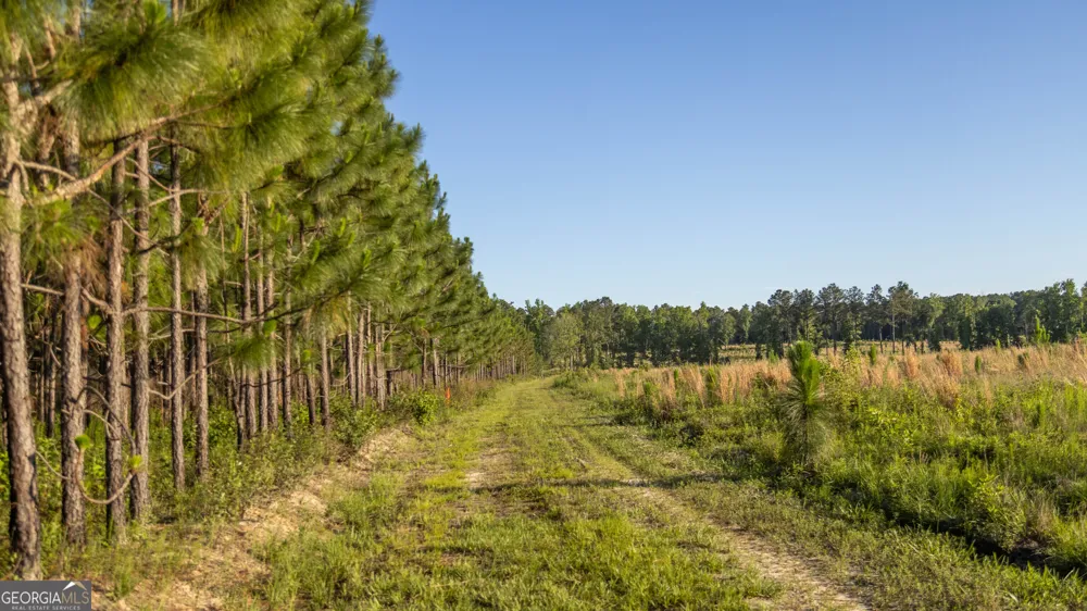 005 Beulah Road Tract 5 Sylvania, GA 30467