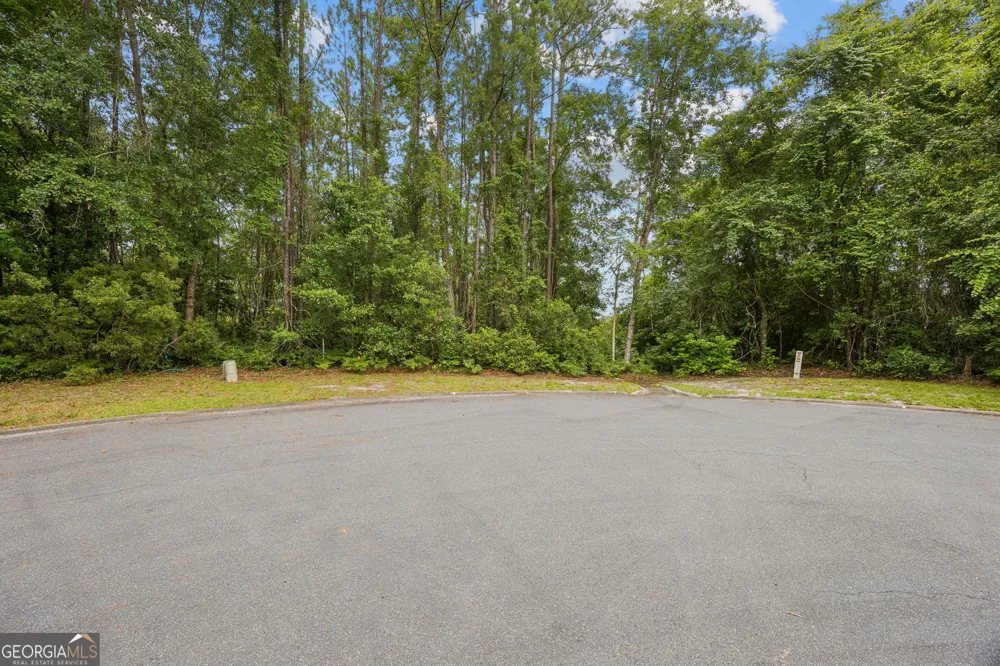 0 Heron Point LN Woodbine, GA 31569