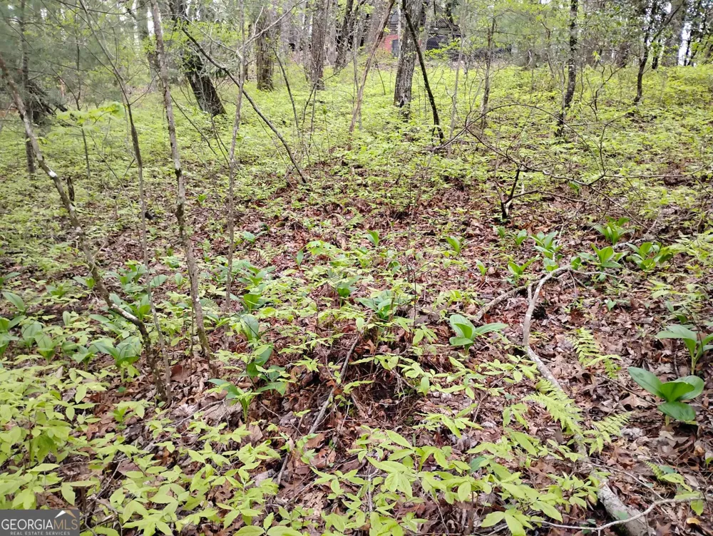0 Rebel Circle Sky Valley, GA 30537