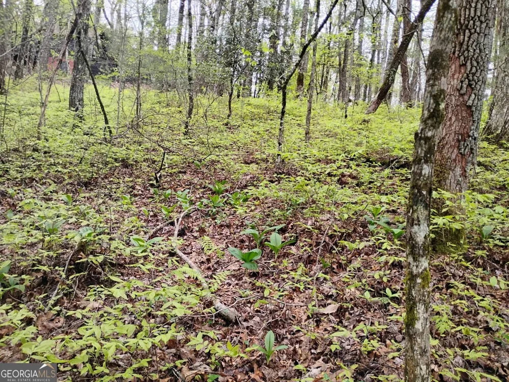 0 Rebel Circle Sky Valley, GA 30537