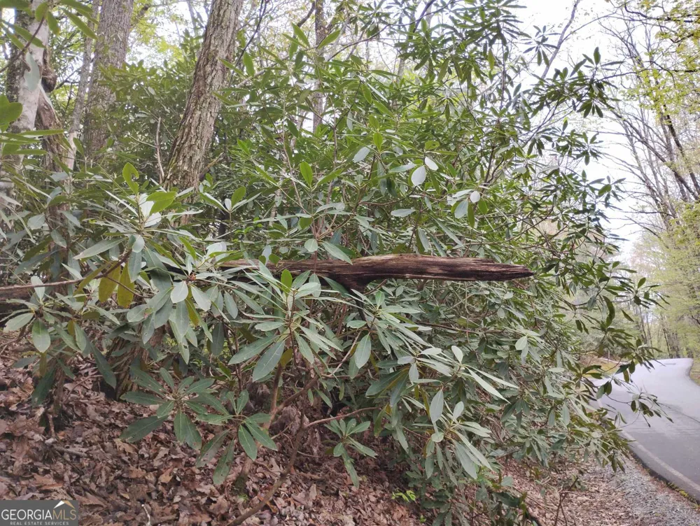 0 Rebel Circle Sky Valley, GA 30537