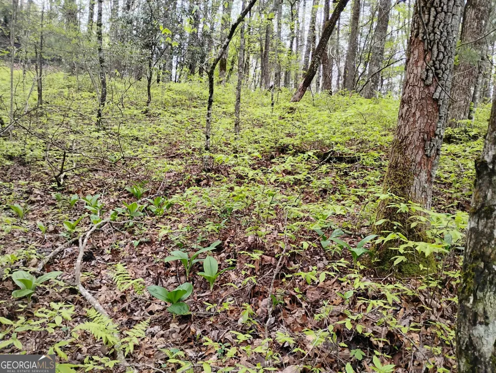 0 Rebel Circle Sky Valley, GA 30537