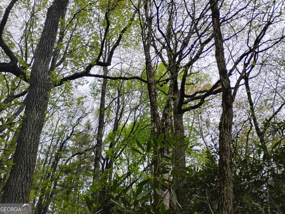 0 Rebel Circle Sky Valley, GA 30537