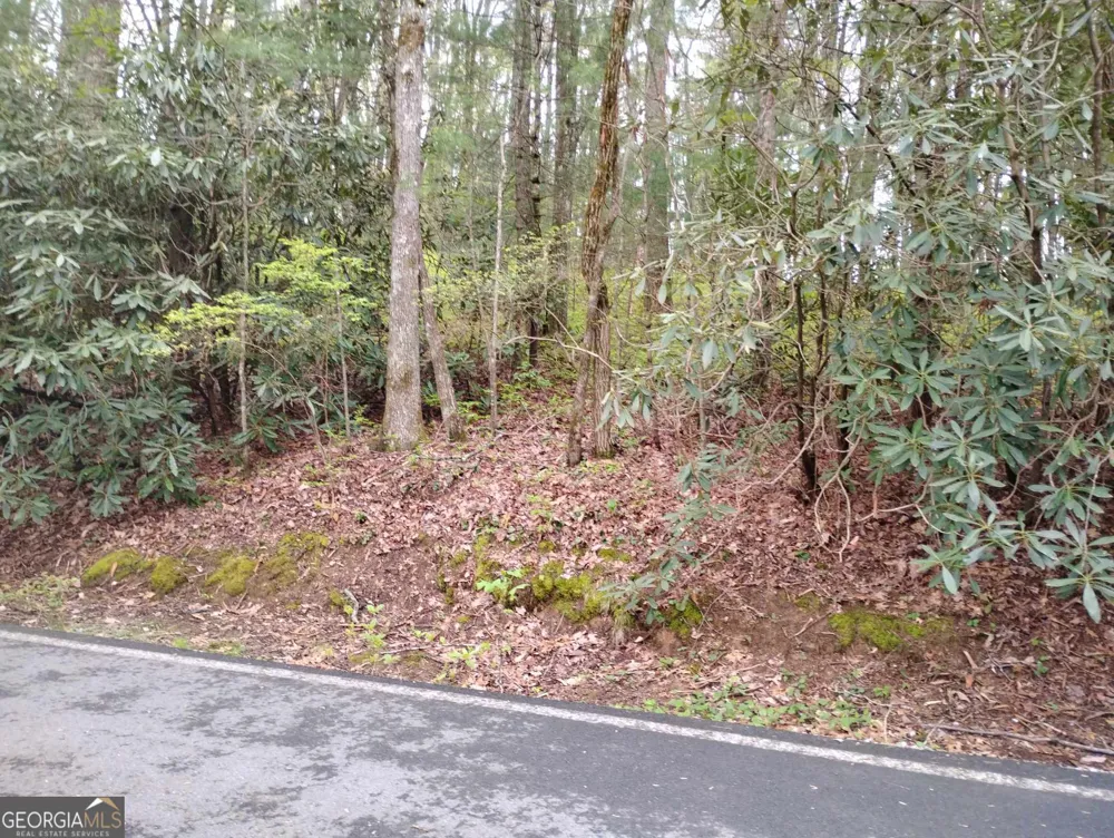 0 Rebel Circle Sky Valley, GA 30537
