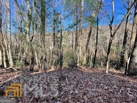 0 Rebel Circle Sky Valley, GA 30537