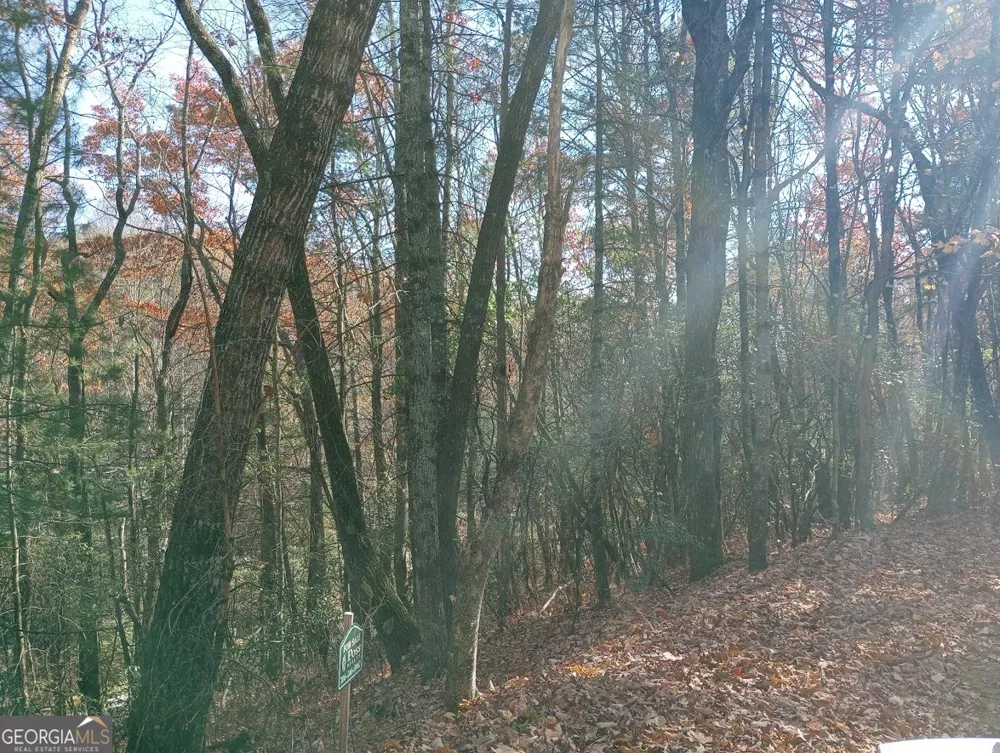 0 Rebel Circle Sky Valley, GA 30537