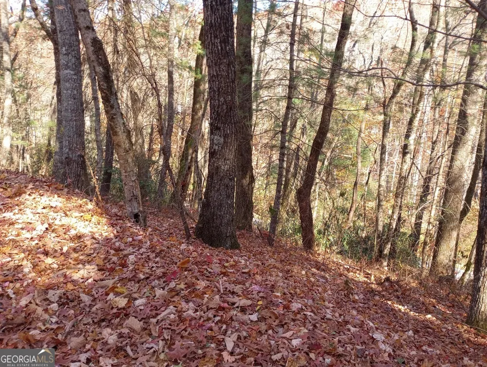 0 Rebel Circle Sky Valley, GA 30537