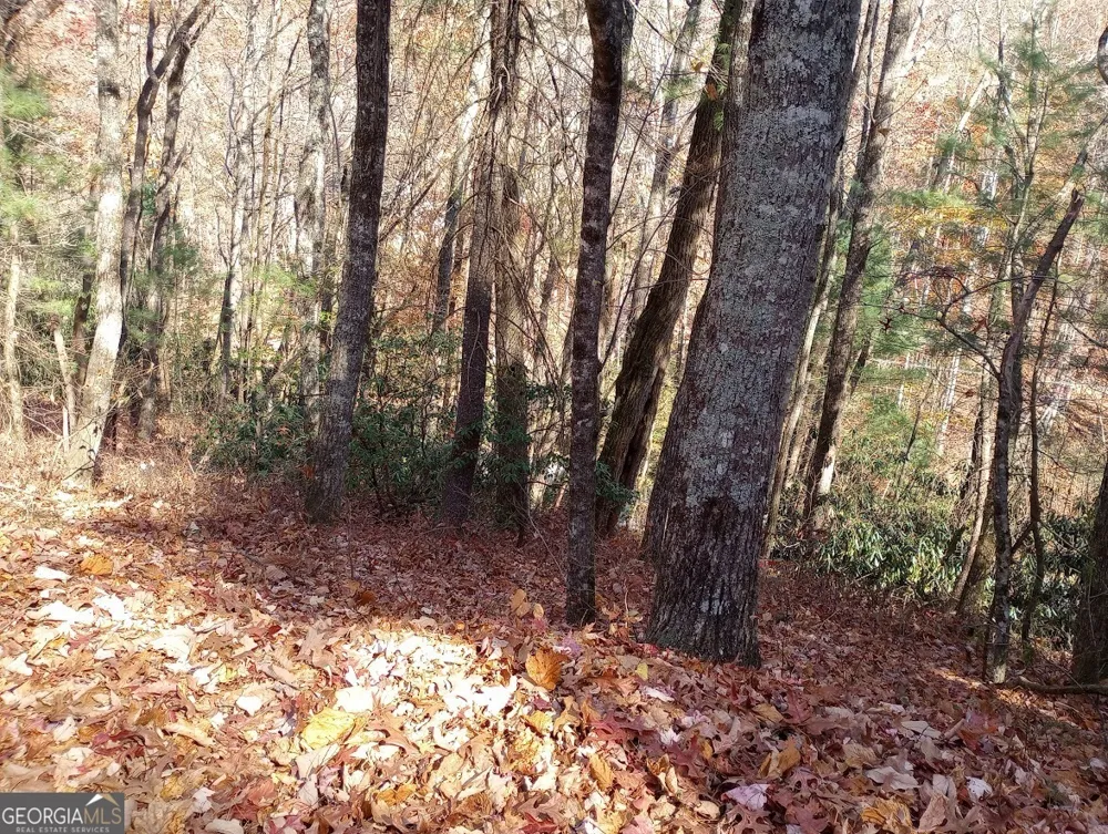 0 Rebel Circle Sky Valley, GA 30537