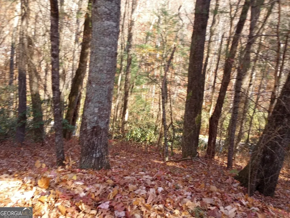 0 Rebel Circle Sky Valley, GA 30537