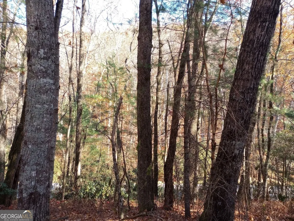 0 Rebel Circle Sky Valley, GA 30537