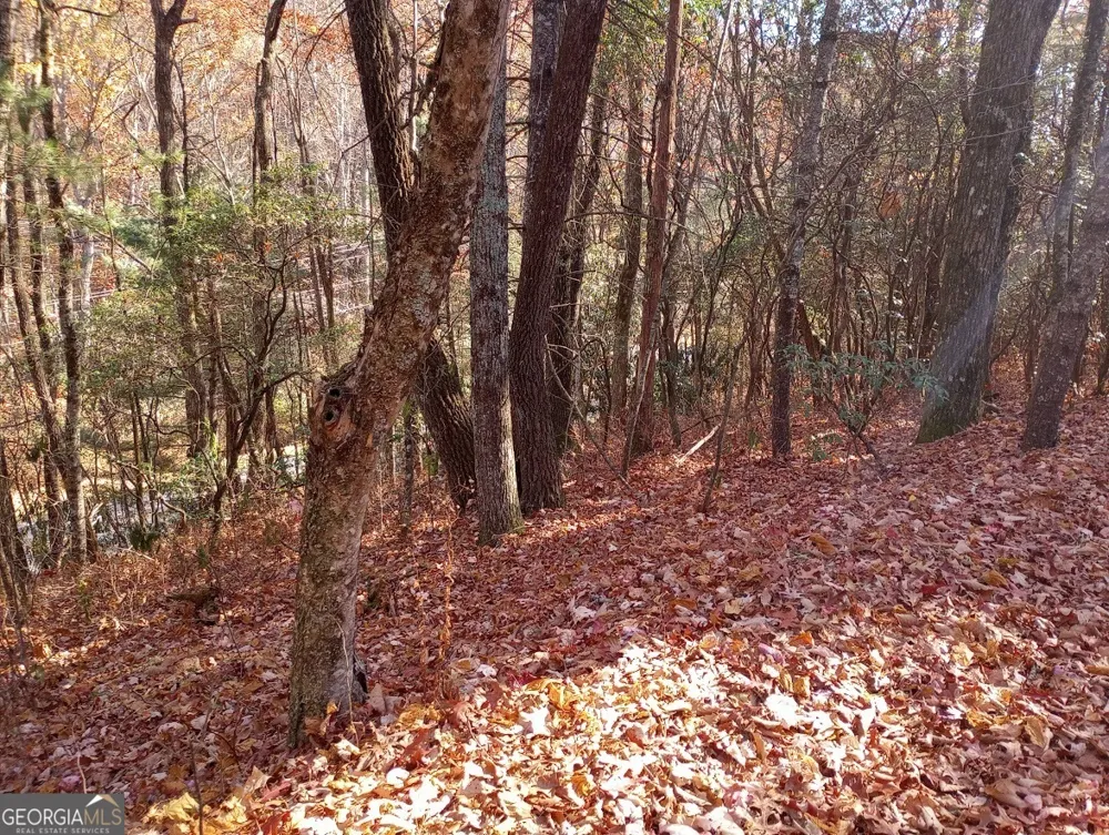 0 Rebel Circle Sky Valley, GA 30537