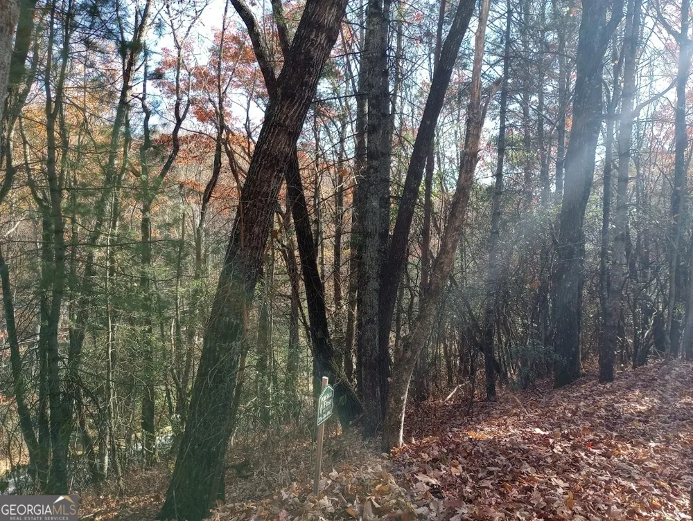 0 Rebel Circle Sky Valley, GA 30537