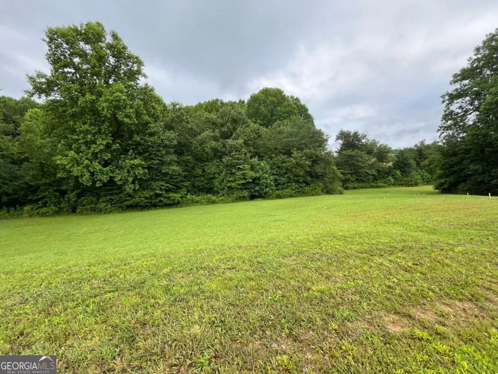 LOT 117 Owen Glen DR Blairsville, GA 30512