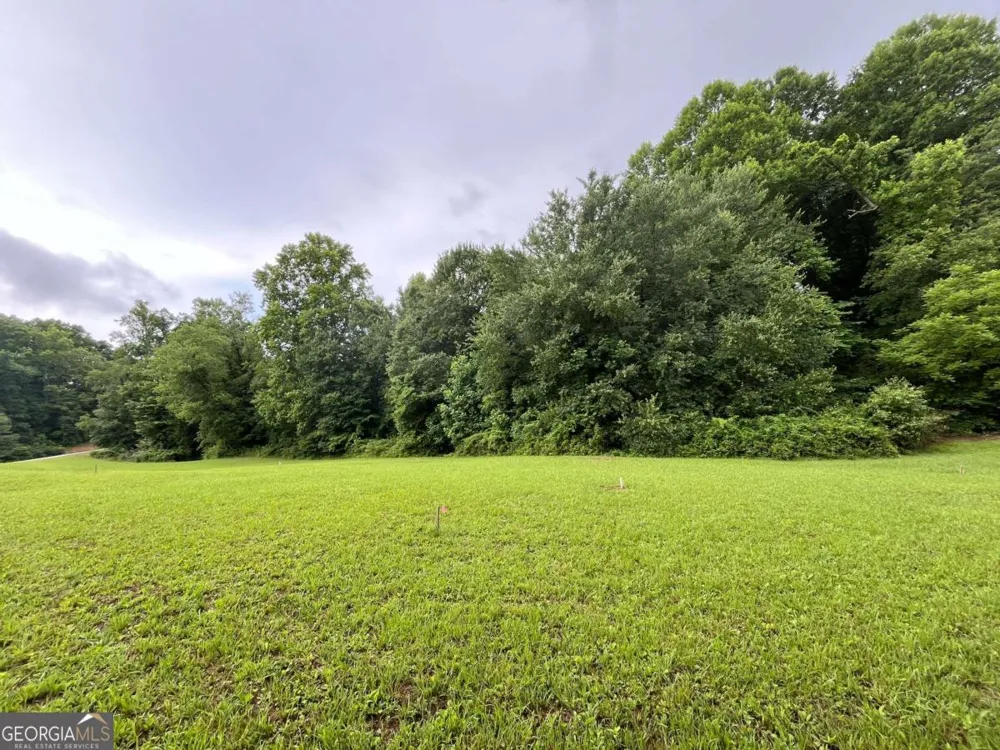 LOT 117 Owen Glen DR Blairsville, GA 30512