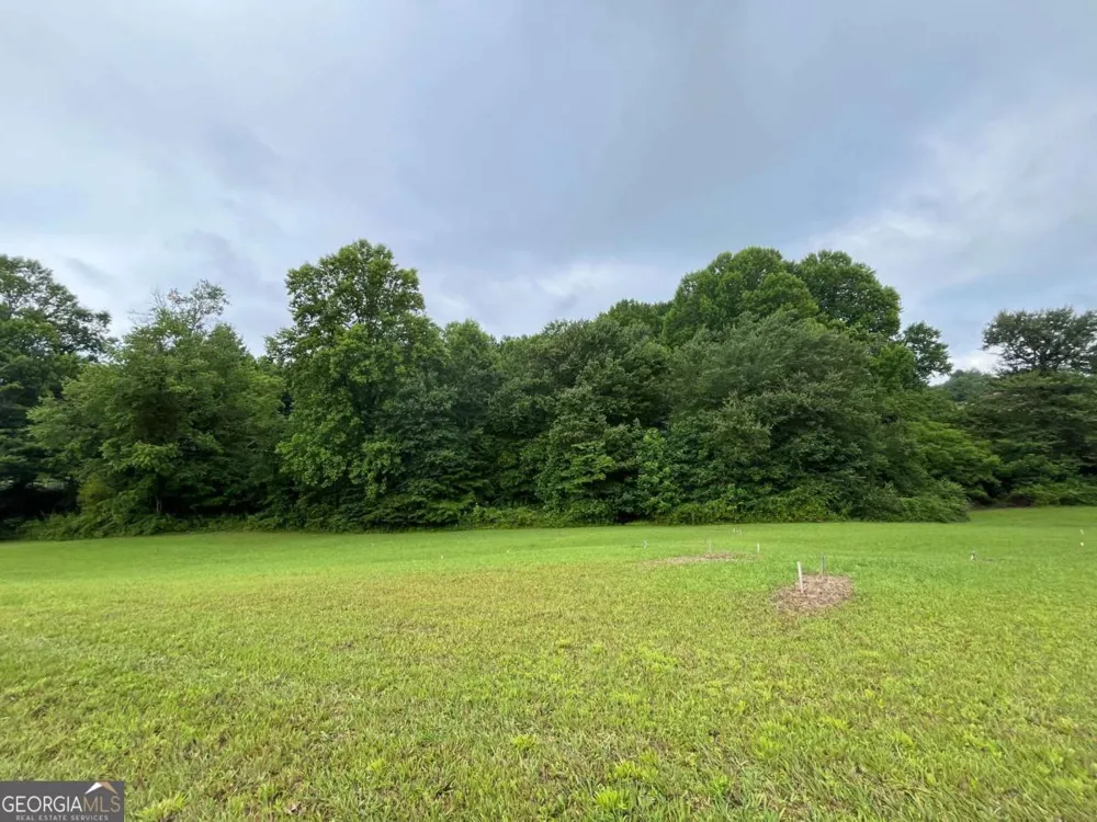 LOT 117 Owen Glen DR Blairsville, GA 30512