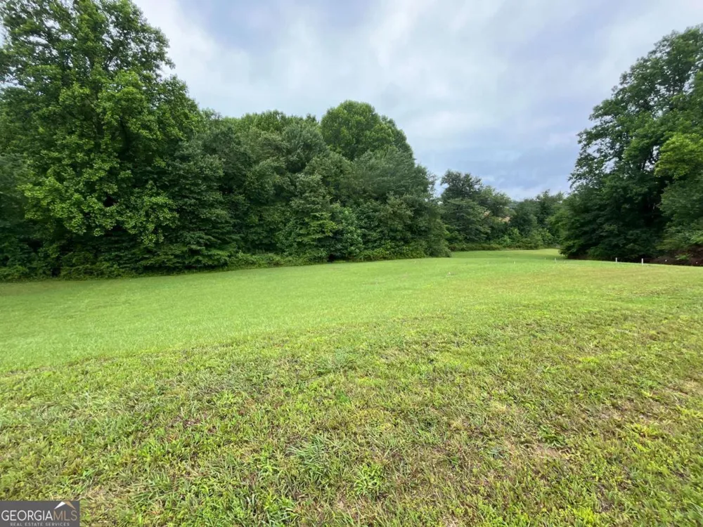 LOT 117 Owen Glen DR Blairsville, GA 30512