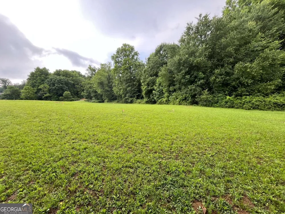 LOT 117 Owen Glen DR Blairsville, GA 30512