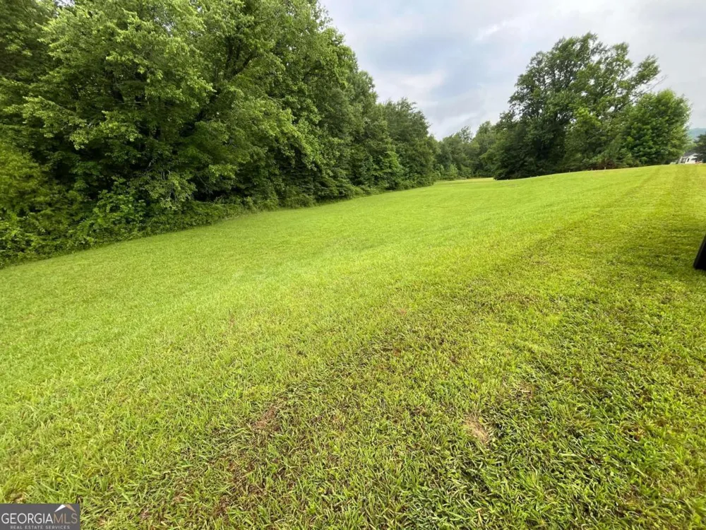 LOT 117 Owen Glen DR Blairsville, GA 30512