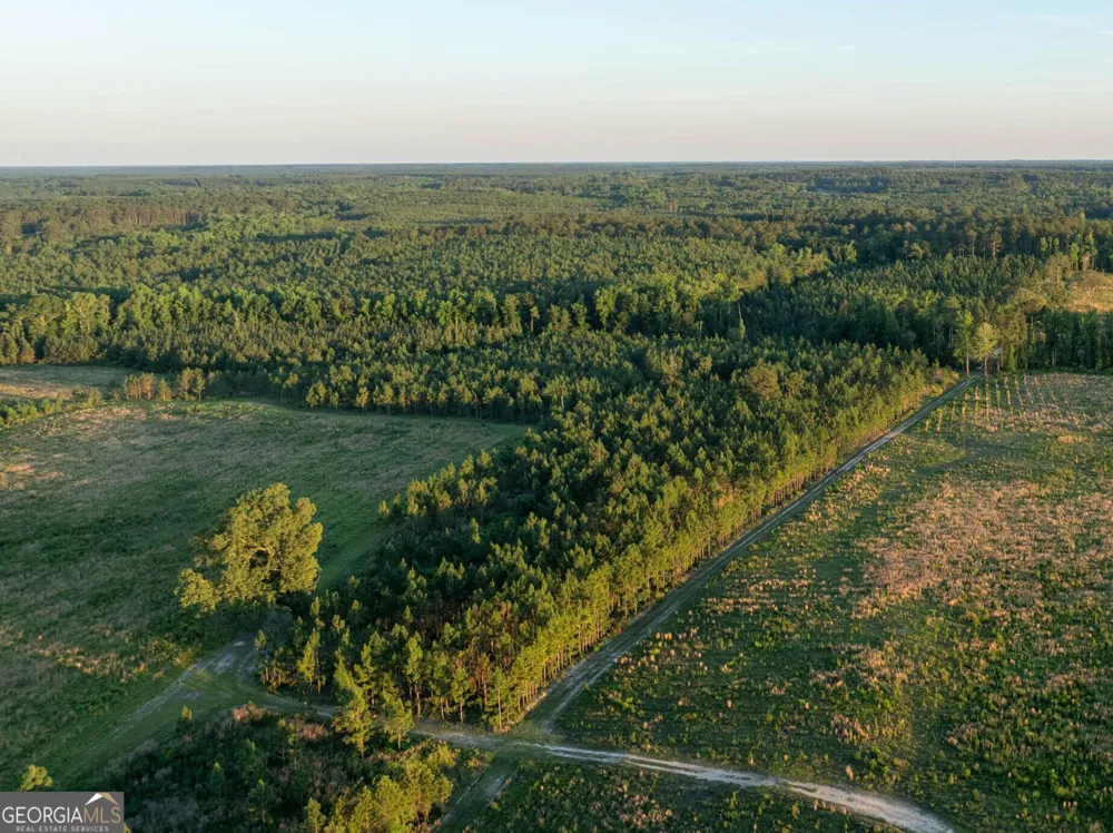 004 Beulah Road Tract 4 Sylvania, GA 30467