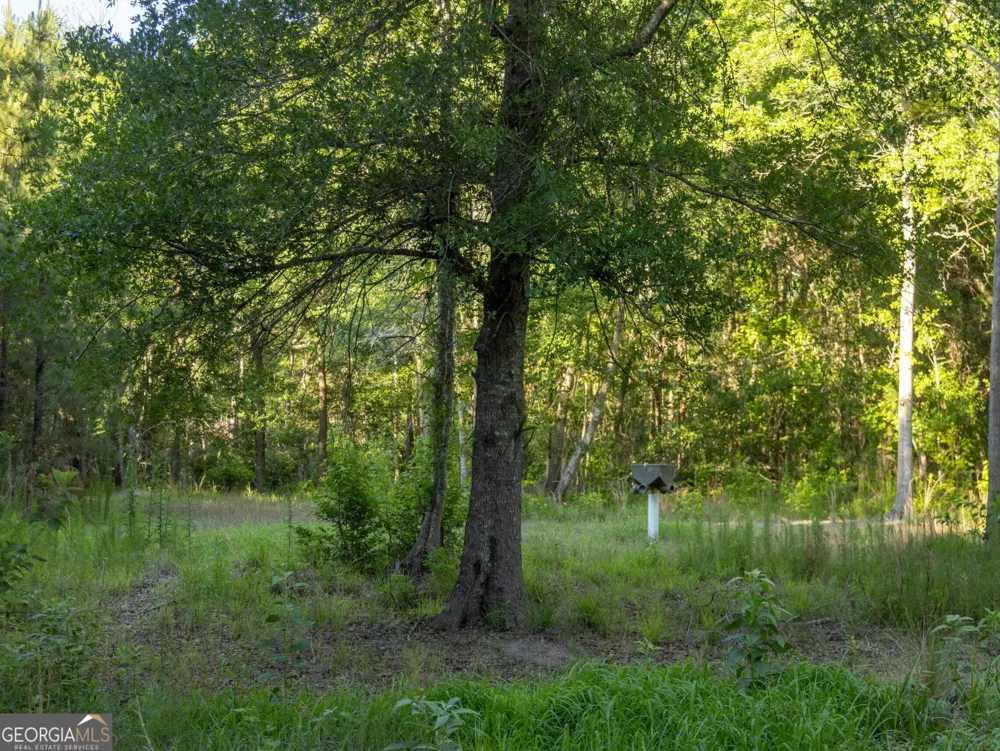 004 Beulah Road Tract 4 Sylvania, GA 30467