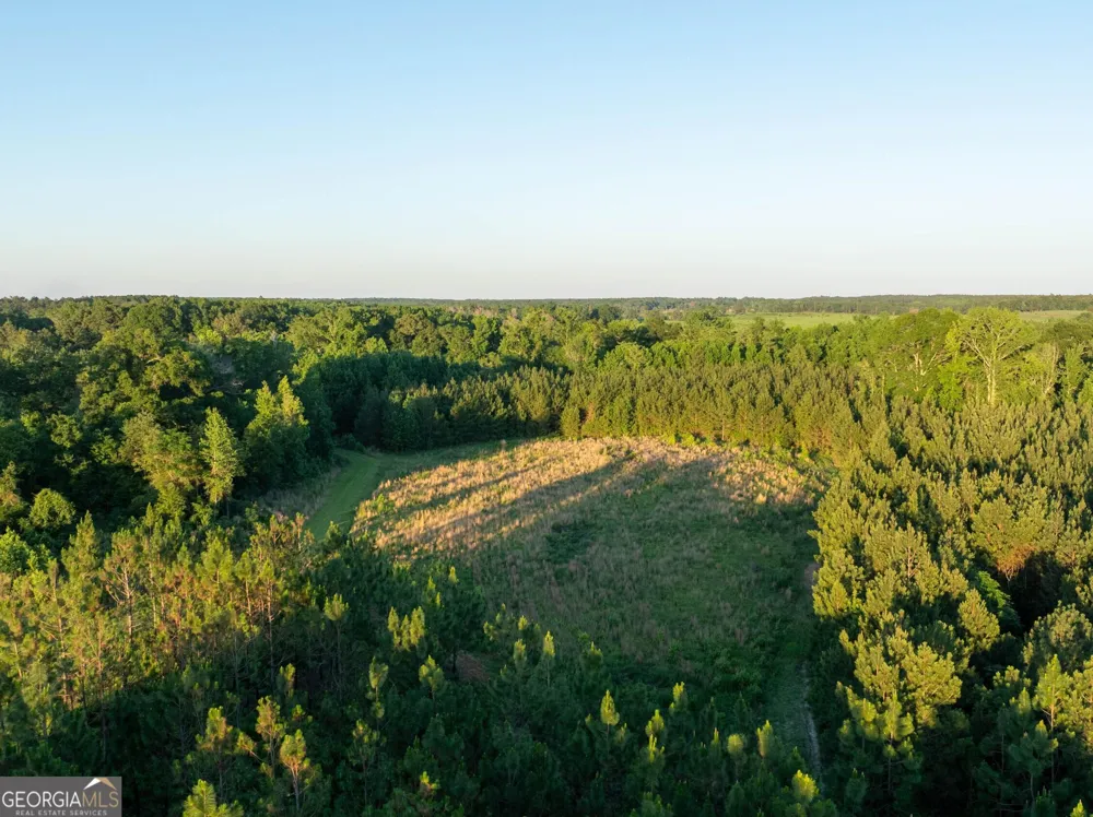 004 Beulah Road Tract 4 Sylvania, GA 30467