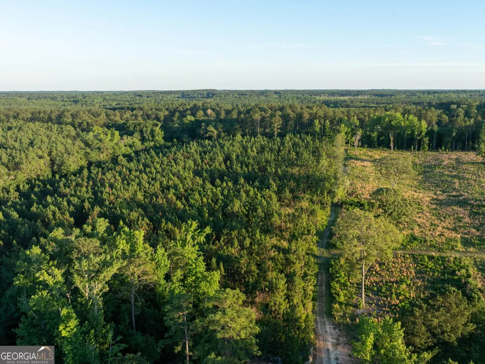 004 Beulah Road Tract 4 Sylvania, GA 30467
