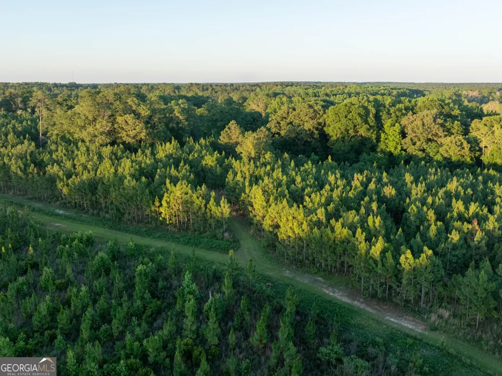 004 Beulah Road Tract 4 Sylvania, GA 30467