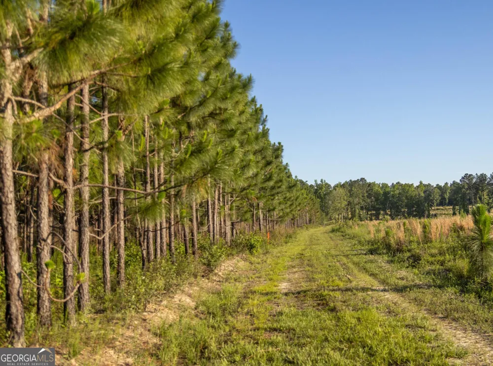 004 Beulah Road Tract 4 Sylvania, GA 30467