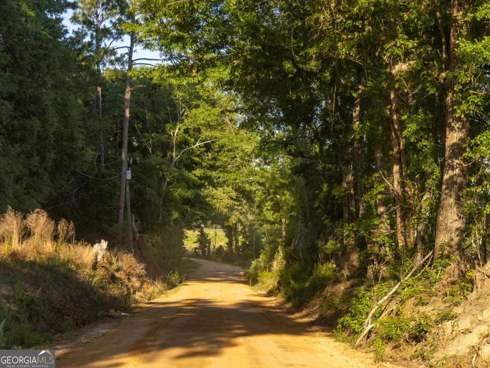 004 Beulah Road Tract 4 Sylvania, GA 30467