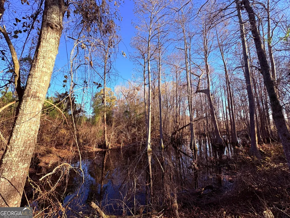 004 Beulah Road Tract 4 Sylvania, GA 30467