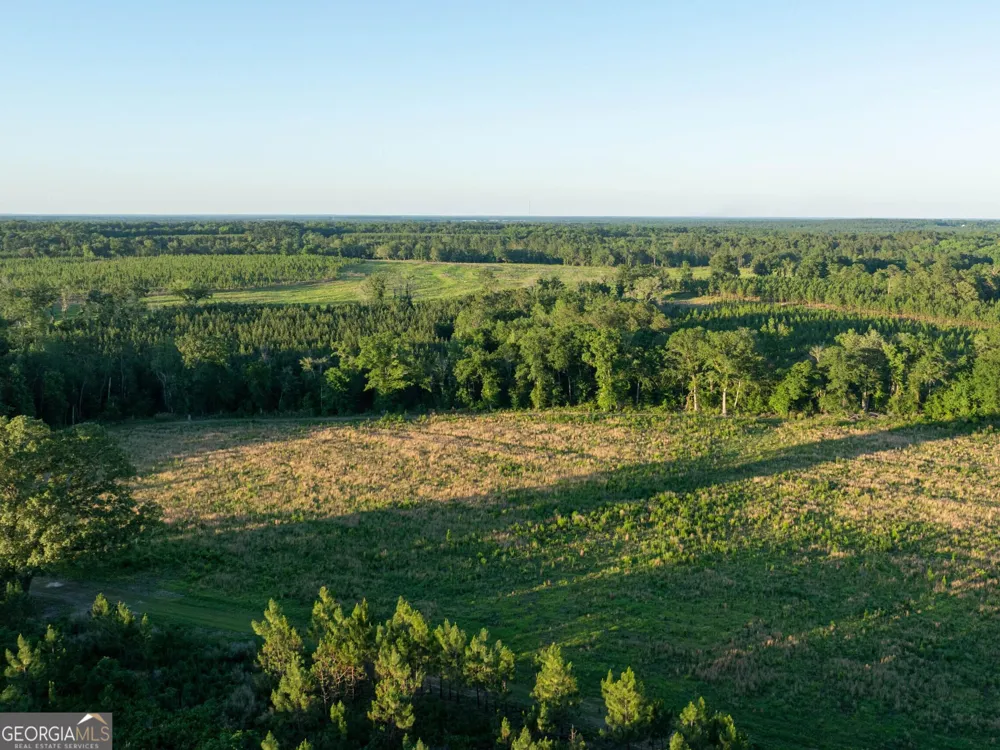 004 Beulah Road Tract 4 Sylvania, GA 30467