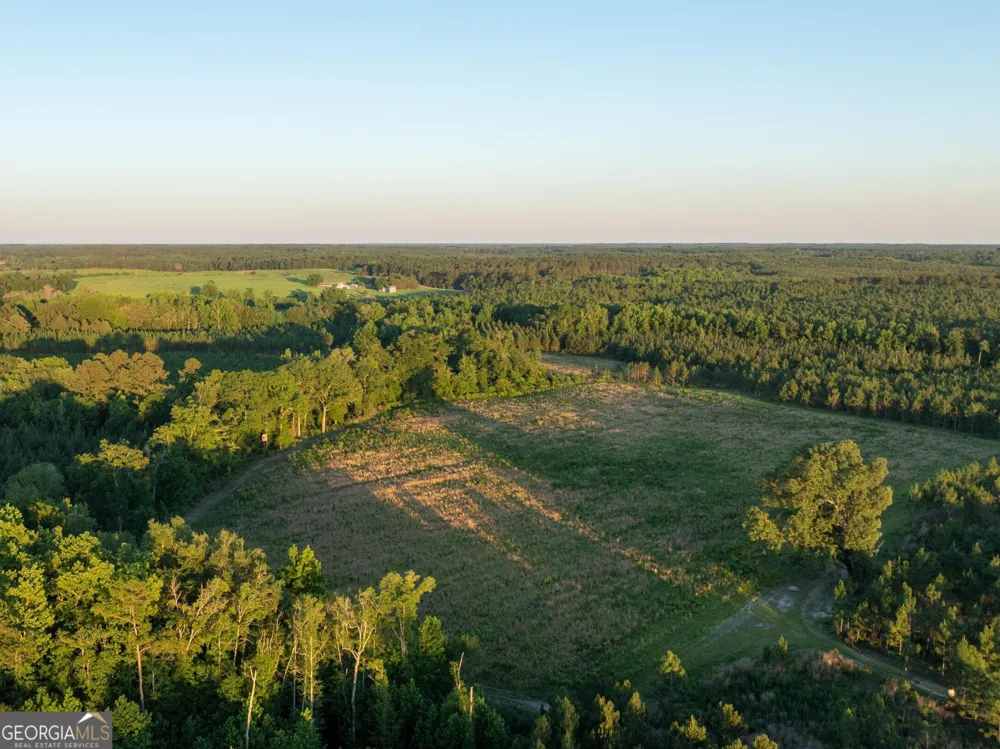 004 Beulah Road Tract 4 Sylvania, GA 30467