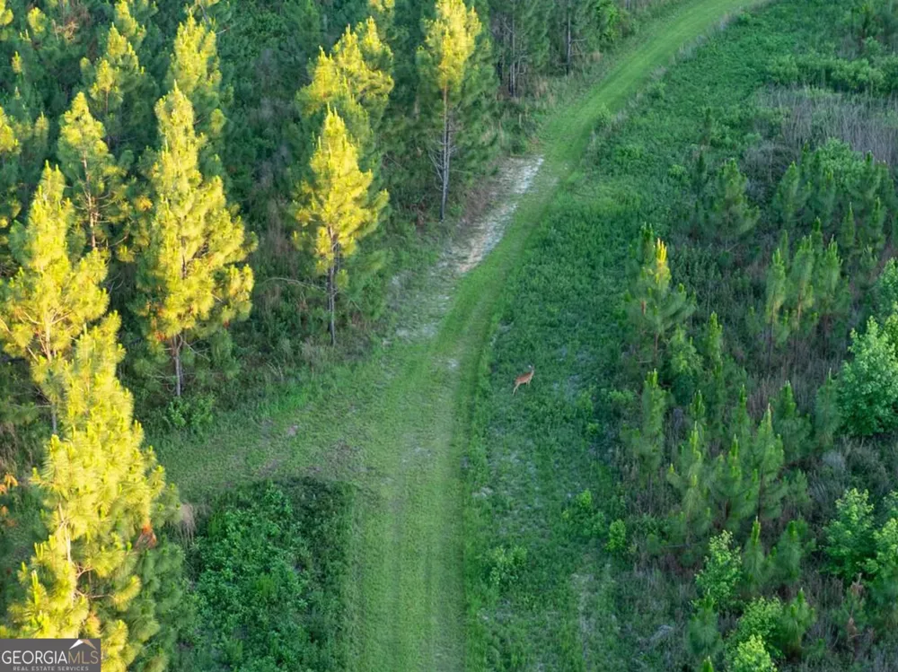 004 Beulah Road Tract 4 Sylvania, GA 30467