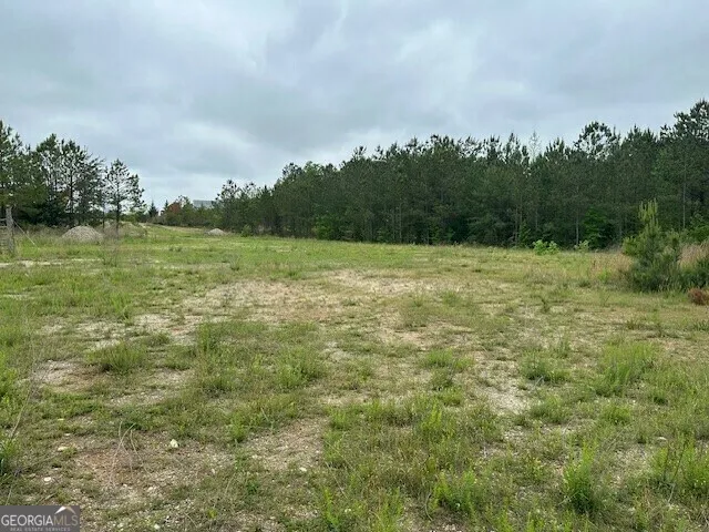 55 Spring Place RD Cartersville, GA 30121