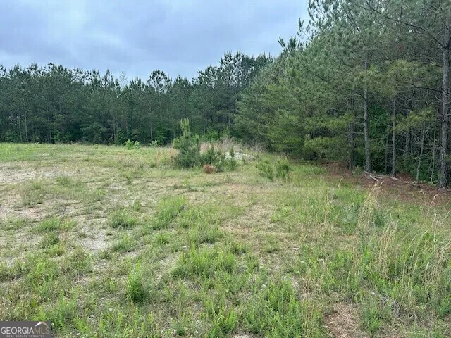 55 Spring Place RD Cartersville, GA 30121