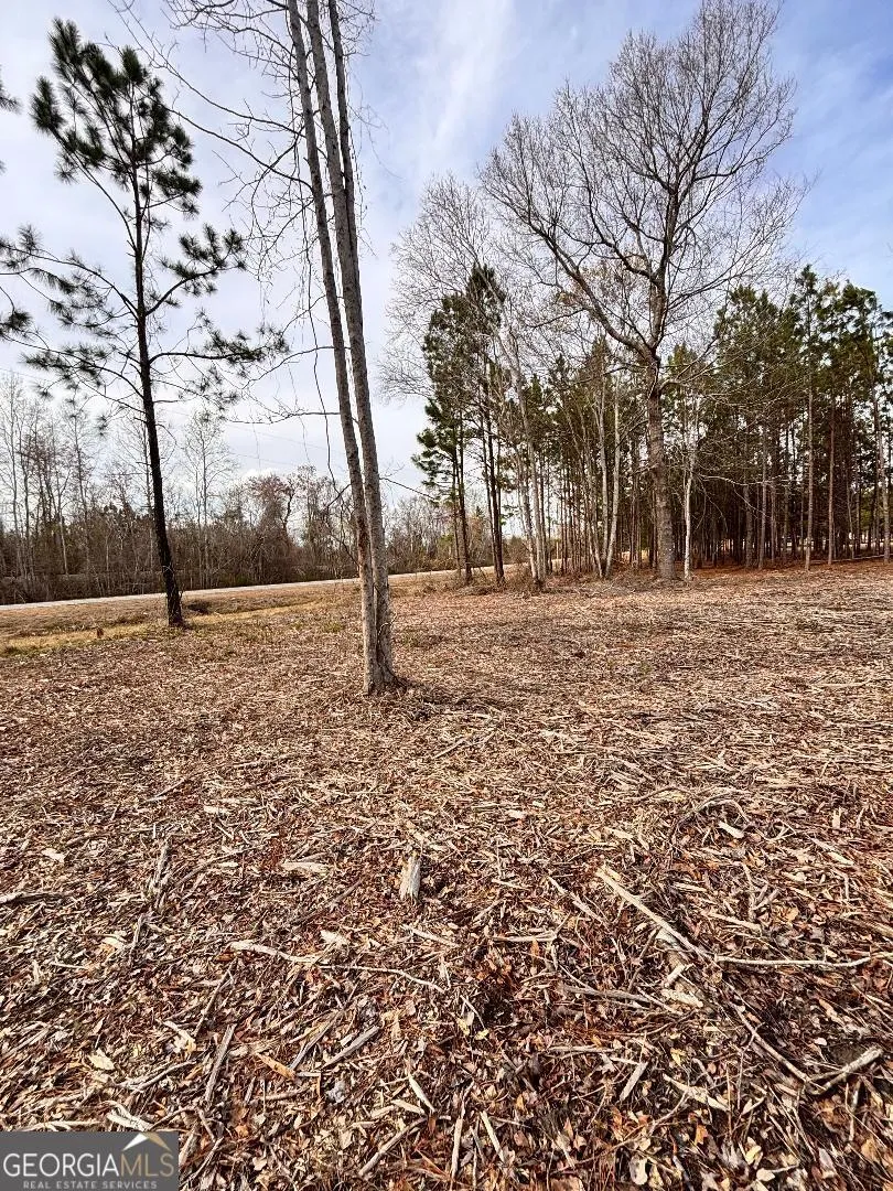 164 Strawberry Circle Swainsboro, GA 30401