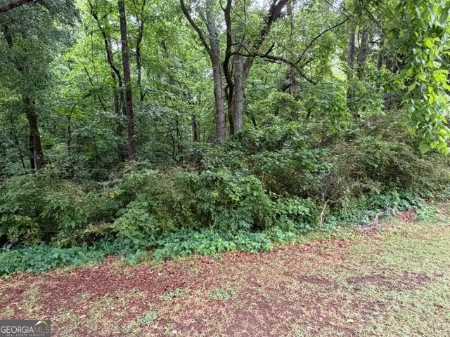 0 Johnson RD Palmetto, GA 30268