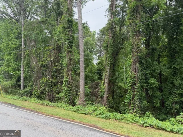 0 Johnson RD Palmetto, GA 30268
