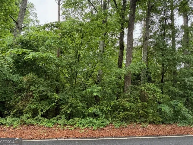 0 Johnson RD Palmetto, GA 30268