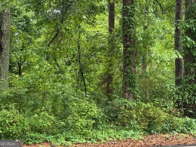 0 Johnson RD Palmetto, GA 30268