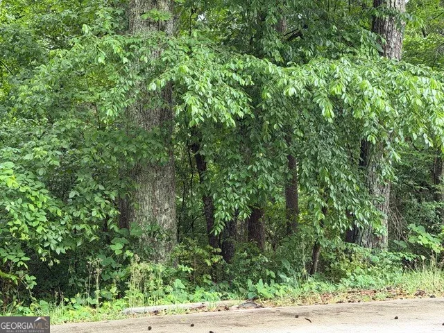 0 Johnson RD Palmetto, GA 30268