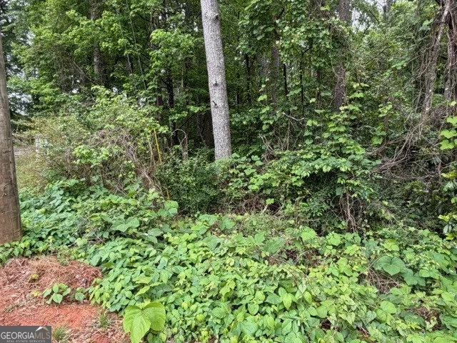 0 Johnson RD Palmetto, GA 30268