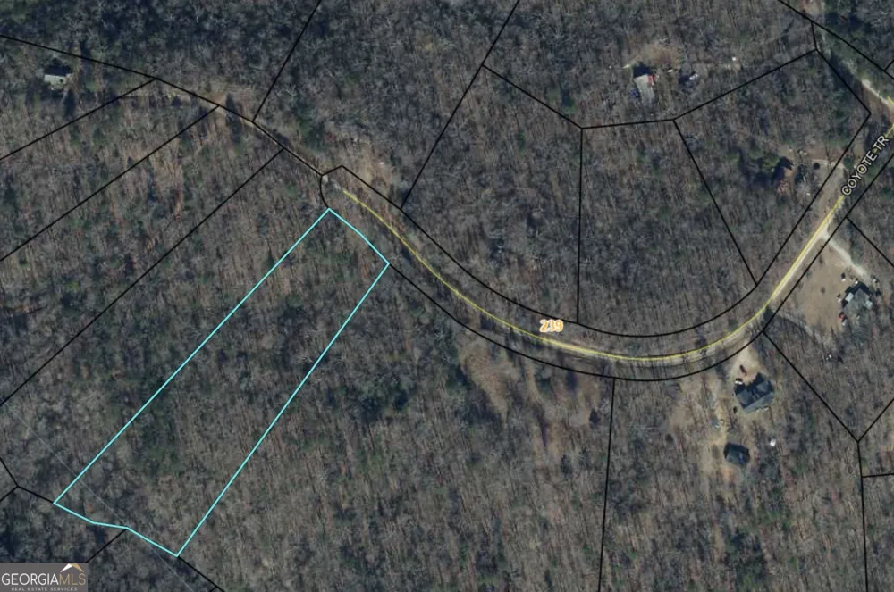 142 COYOTE TRL Waco, GA 30182