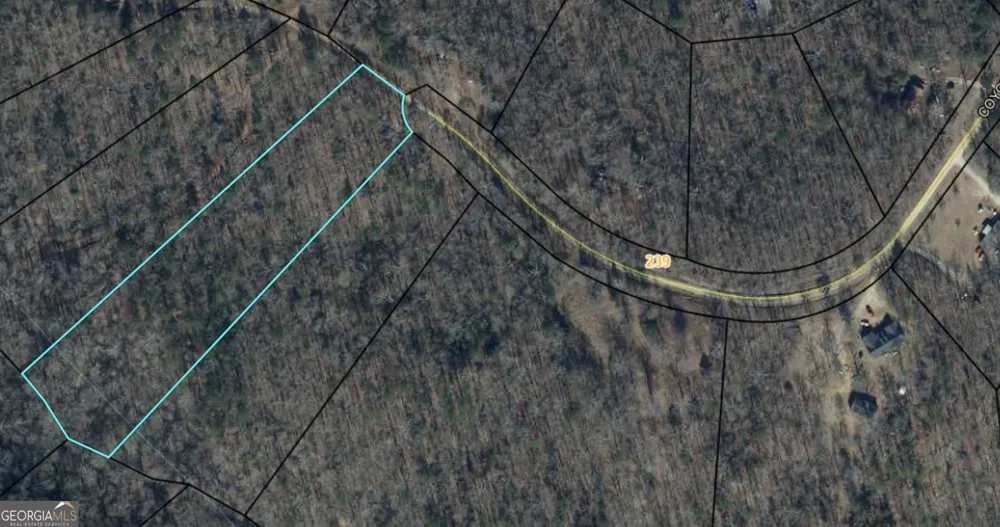 162 Coyote TRL Waco, GA 30182