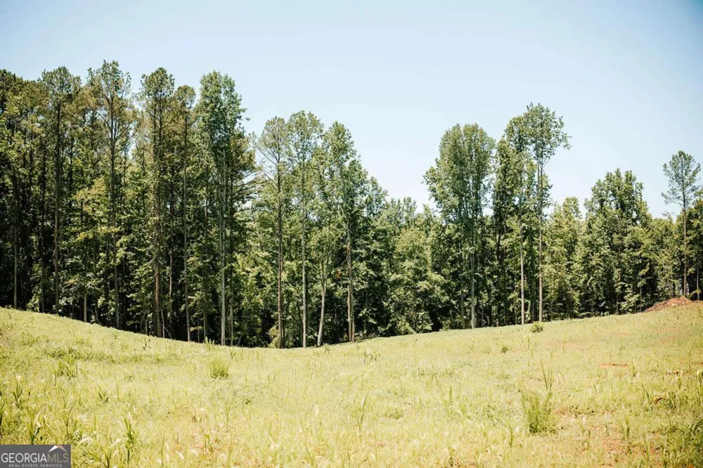0 Mitchell Farm RD Colbert, GA 30628