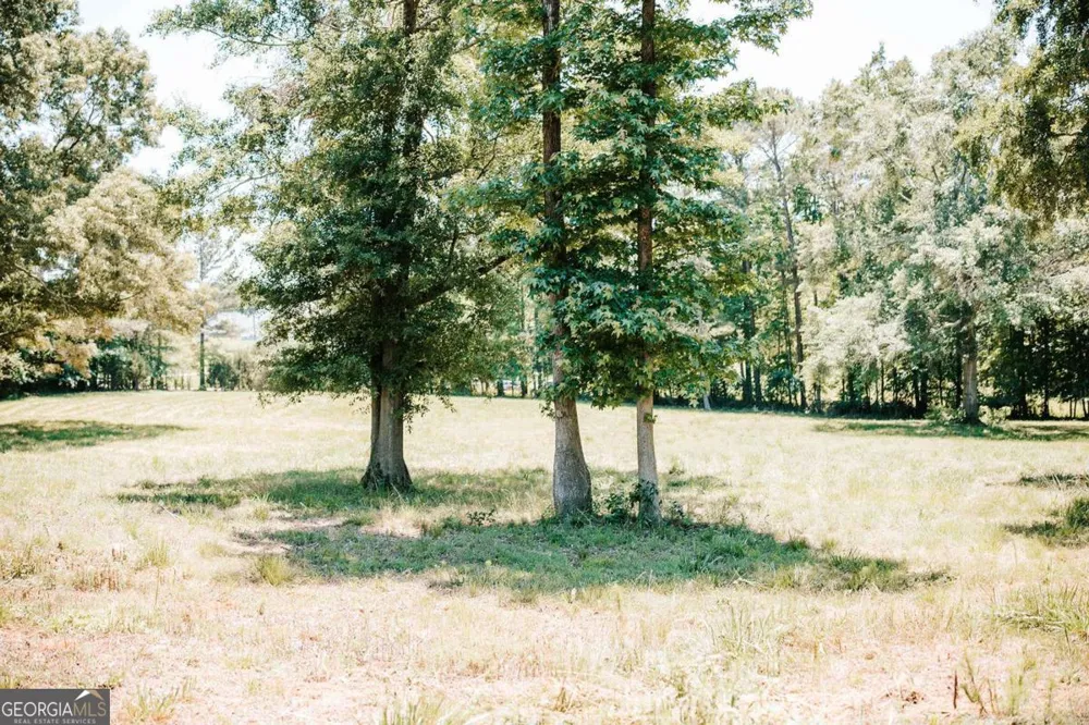 0 Mitchell Farm RD Colbert, GA 30628